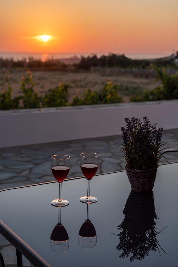 Villa Kalamies 2 Páros Buitenkant foto